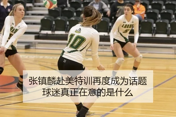 张镇麟赴美特训再度成为话题 球迷真正在意的是什么